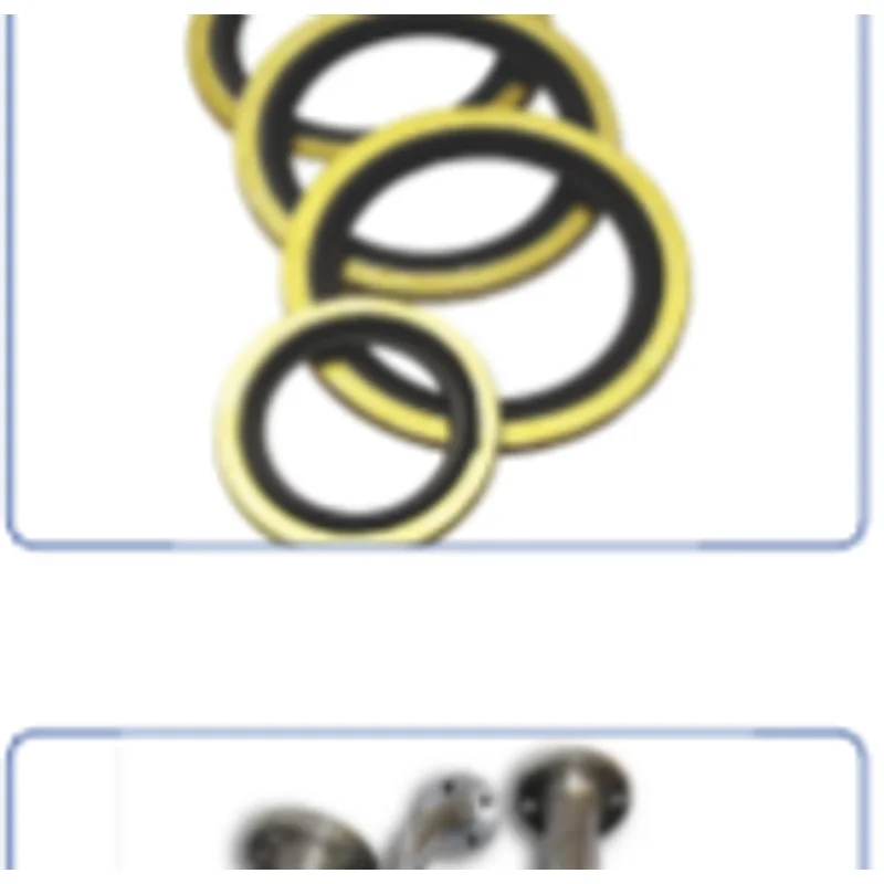 O-Ring Seal Kit - 